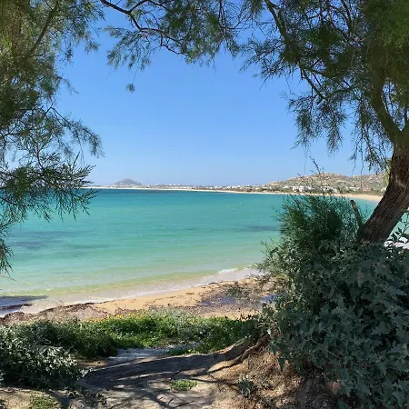 Hotel Paradise In Naxos