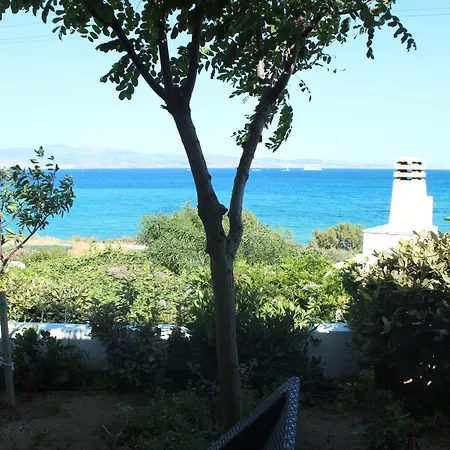 纳克索斯天堂别墅 3* Pláka