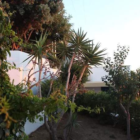 Paradise In Naxos 3*