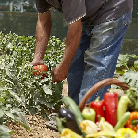 酒店 纳克索斯天堂别墅 Pláka