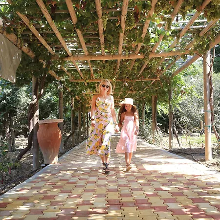 Paradise In Naxos Hotel