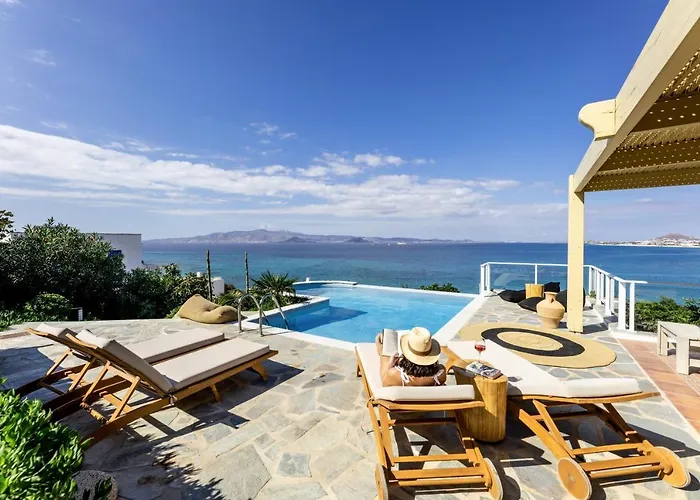 Paradise In Naxos Плака