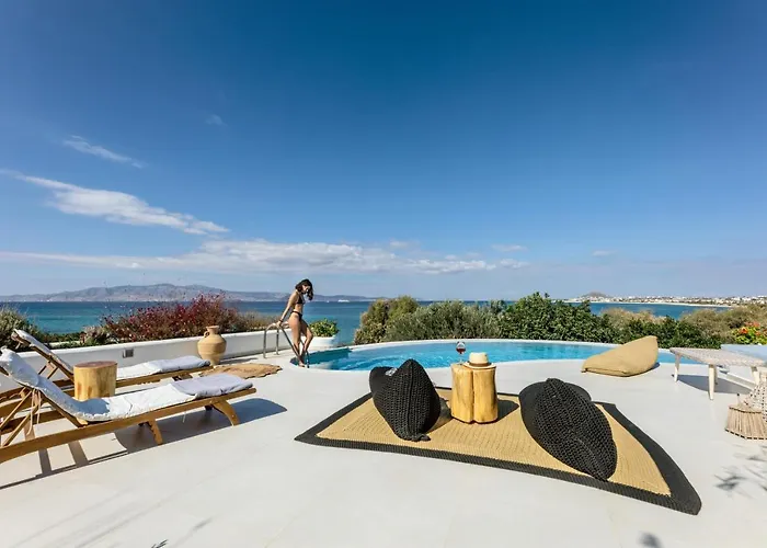 Paradise In Naxos Плака